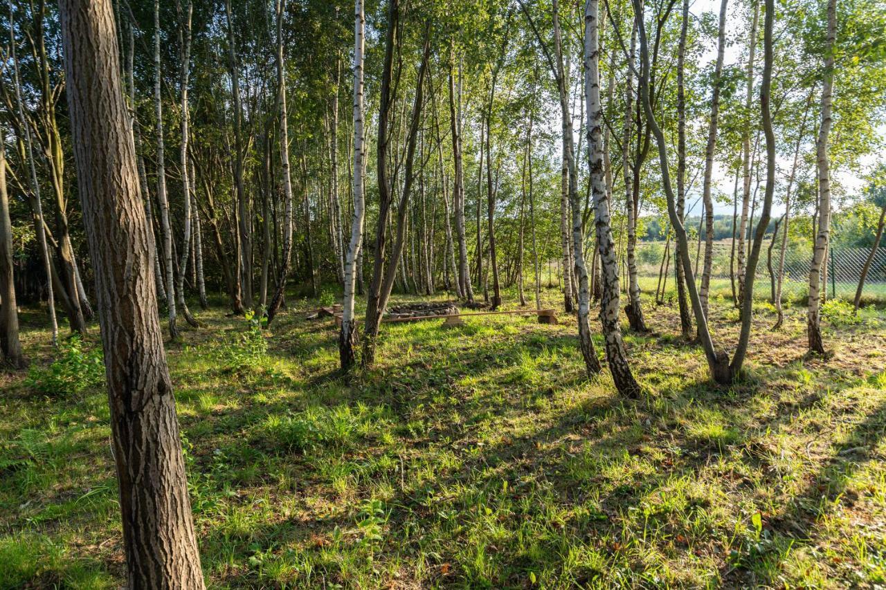 Unikatowy Domek Z Kontenera Morskiego Krajno-Zagorze Exterior photo